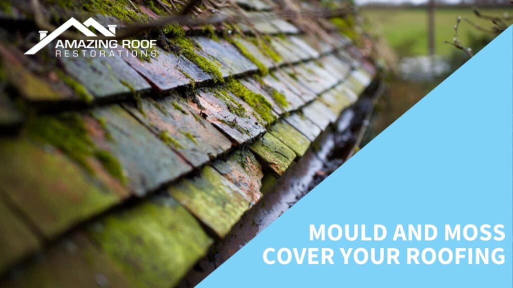 5 Signs your Roof Requires Some TLC - Roof Mould and moss cover your roofing