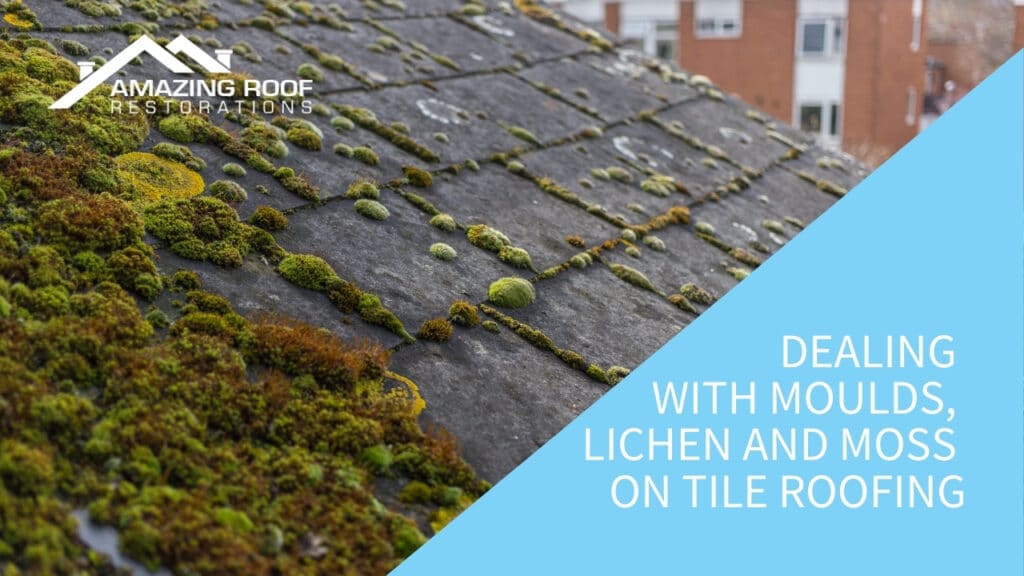 Dealing with Moulds, Lichen and Moss on Tile Roofing