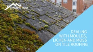 Dealing with Moulds, Lichen and Moss on Tile Roofing