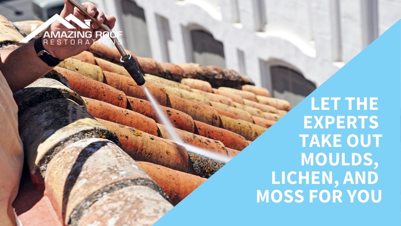 Let the Experts Take out Moulds, Lichen, and Moss for You