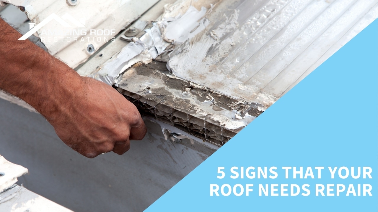 5 Signs You Need a Newcastle Roof Repairer - Roof 5 Signs That Your Roof Needs Repair