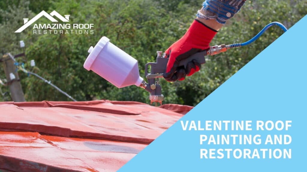 Valentine Roof Painting and Restoration