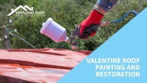 Valentine Roof Painting and Restoration