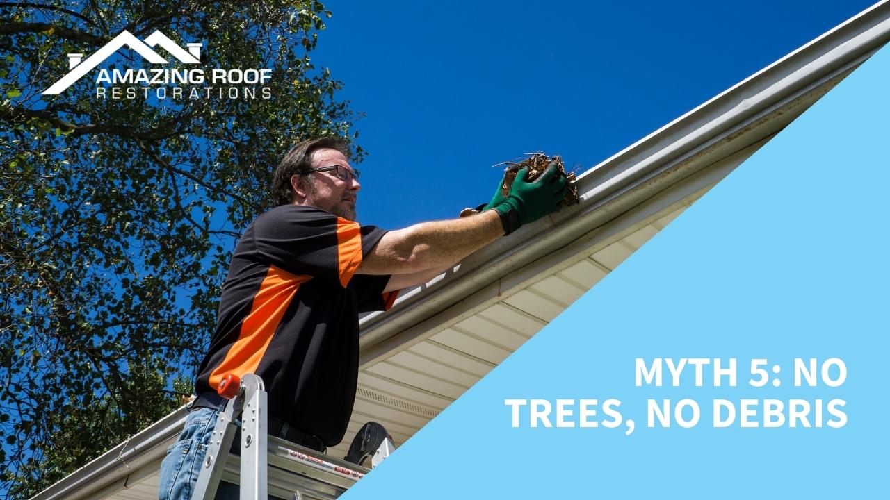 10 Common Myths About Roof Gutters - Gutters Myth 5 - No trees, no debris
