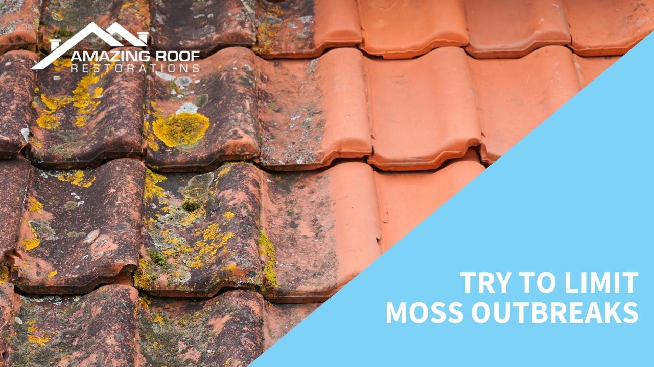 Try to limit moss outbreaks Try to limit moss outbreaks