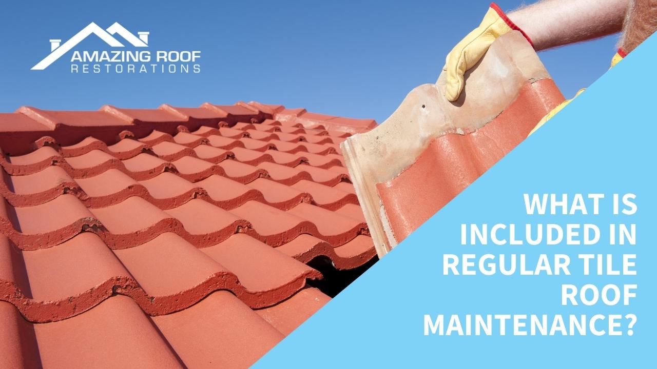 What is included in Regular Tile Roof Maintenance