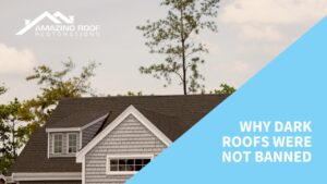 Why Dark Roofs Were Not Banned